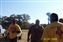 5_2_166920.jpg