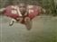 1508201_10201616864440786_275228538_n.jpg